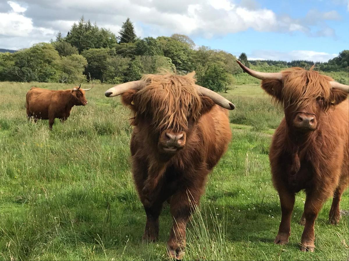 格拉斯哥 The West Highland Way Pitches酒店 外观 照片