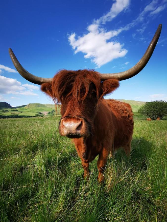 格拉斯哥 The West Highland Way Pitches酒店 外观 照片