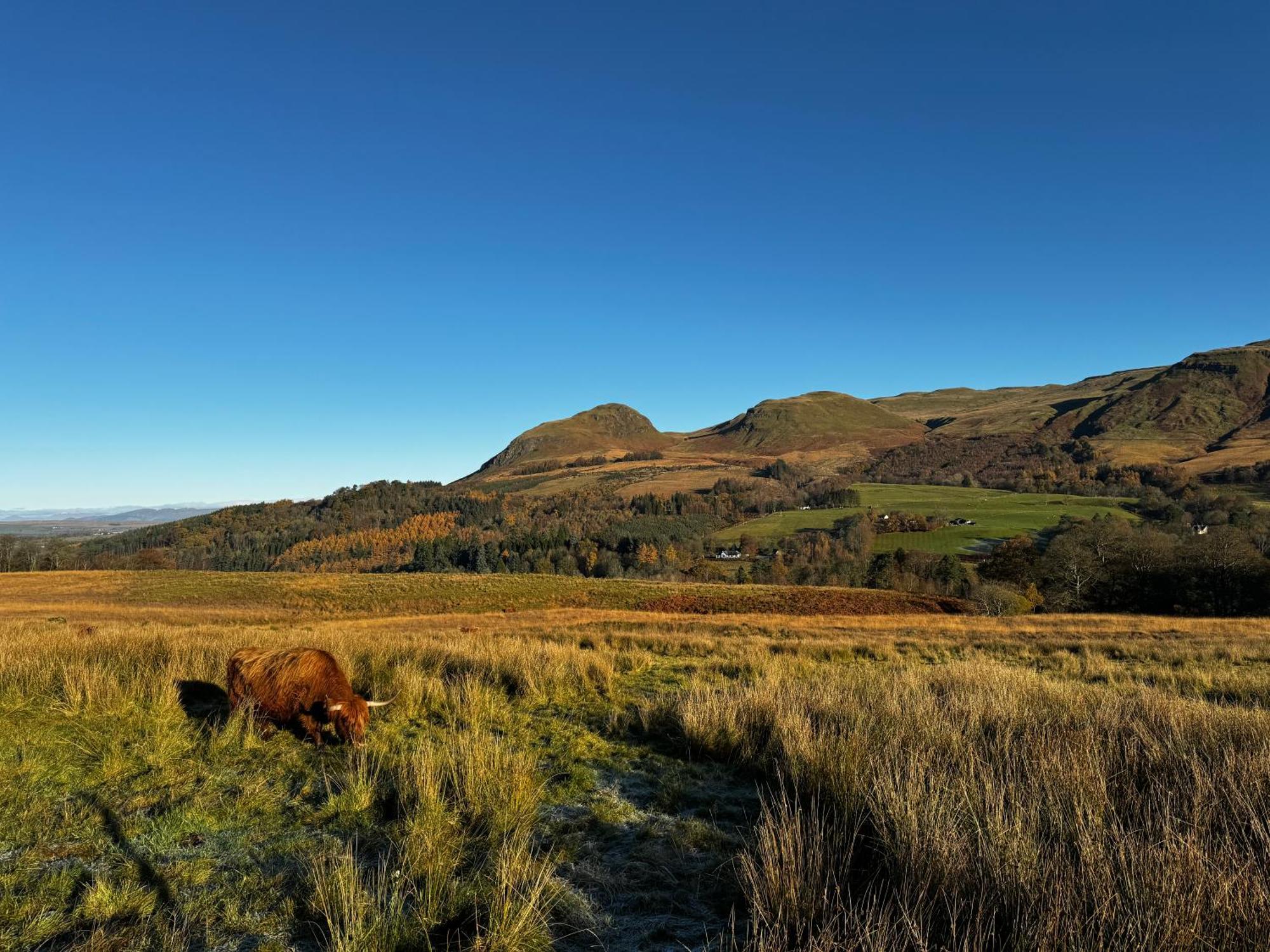 格拉斯哥 The West Highland Way Pitches酒店 外观 照片